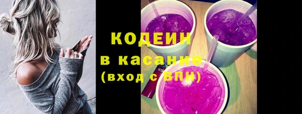 ПСИЛОЦИБИНОВЫЕ ГРИБЫ Богданович