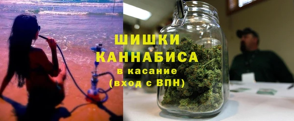 ПСИЛОЦИБИНОВЫЕ ГРИБЫ Богданович