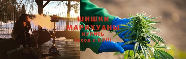 ПСИЛОЦИБИНОВЫЕ ГРИБЫ Богданович
