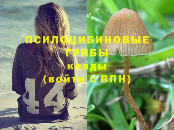 наркотики Богородицк