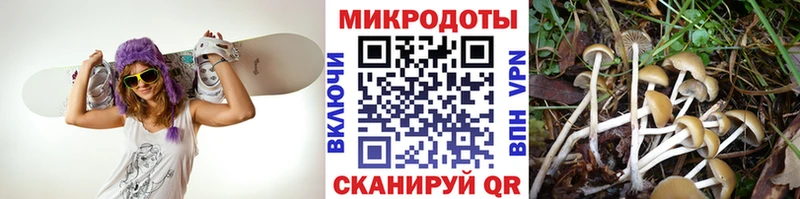 продажа наркотиков  Чайковский  Псилоцибиновые грибы прущие грибы 